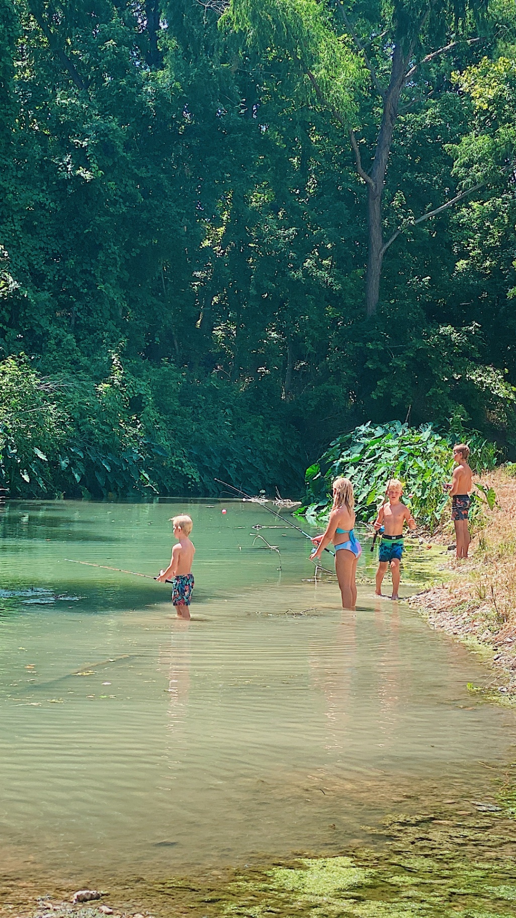 Kids fishing in creek