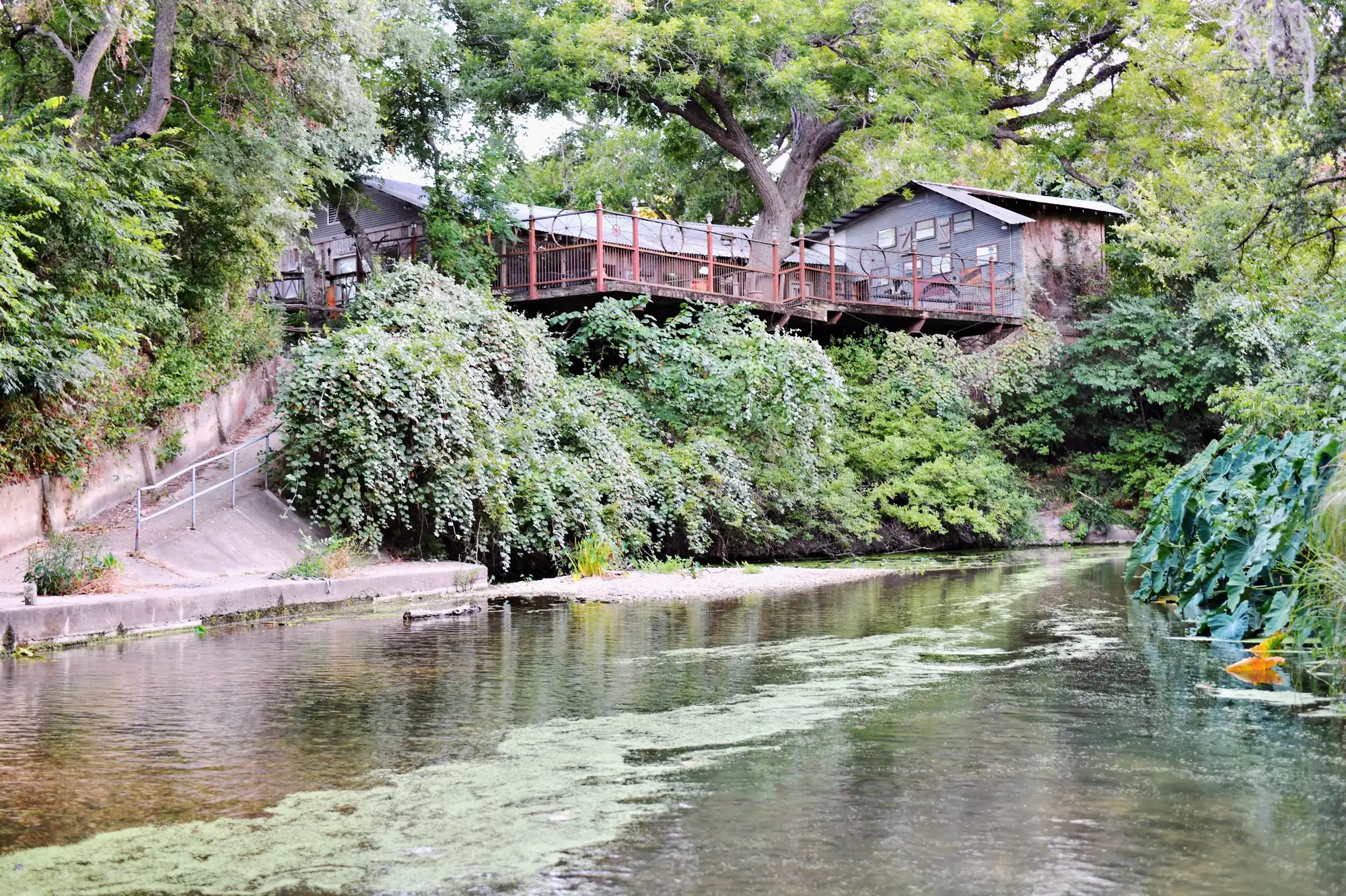 Starry sky over the property