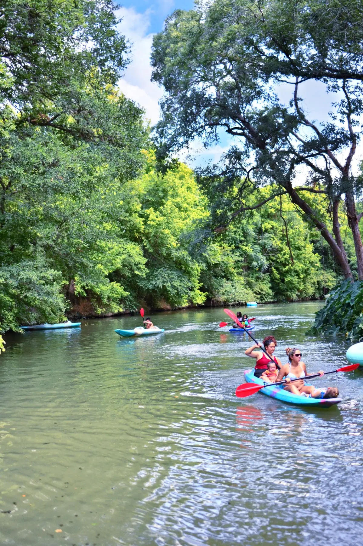 Families kayaking near San Antonio on spring-fed Cibolo Creek